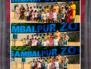 Gallery Pic-4 (1)